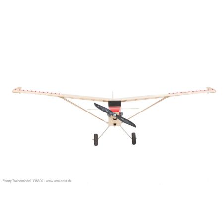 Avion rc Modèle de basket shorty