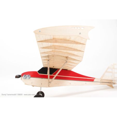 Avion rc Modèle de basket shorty