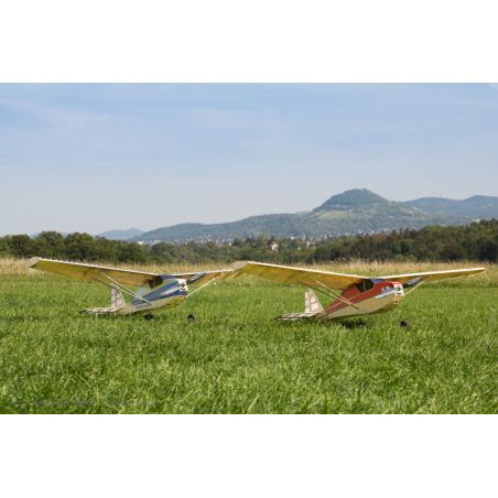 Avion rc Modèle de basket shorty
