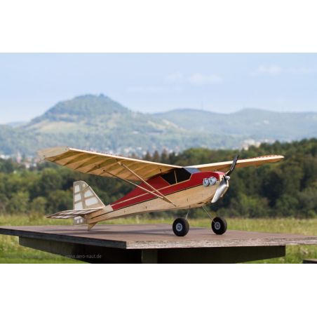Avion rc Modèle de basket shorty