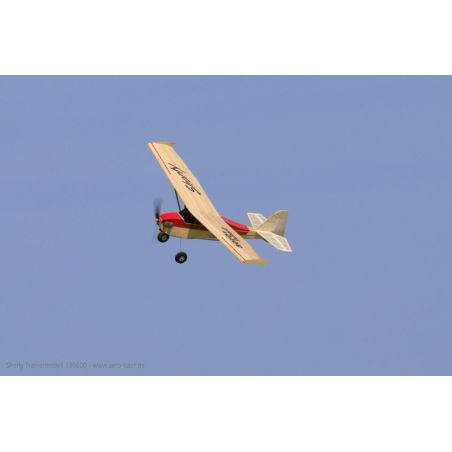 Avion rc Modèle de basket shorty