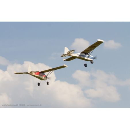 Avion rc Modèle de basket shorty