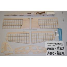 Planeur Aero-maxx - LCDP - Radiocommande.fr 2