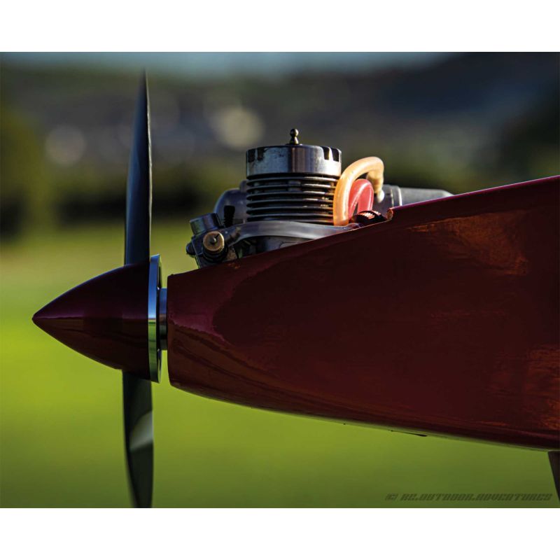 Avion Robbe Modellsport Rasant Speed Edition anniversaire 50 ans Version thermique