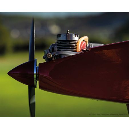 Avion Robbe Modellsport Rasant Speed Edition anniversaire 50 ans Version thermique