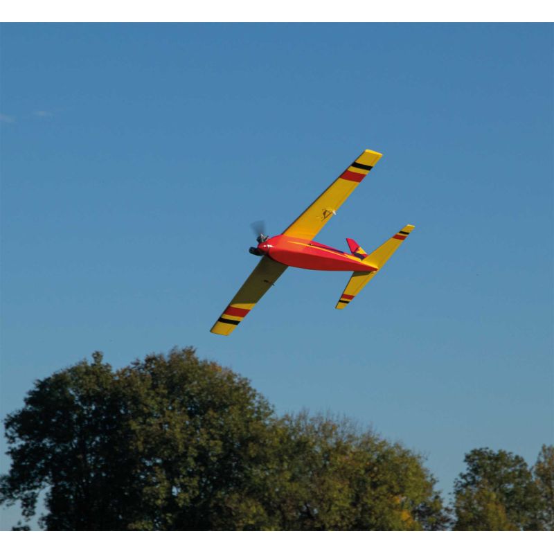 Avion Robbe Modellsport Rasant Speed Edition anniversaire 50 ans Version thermique