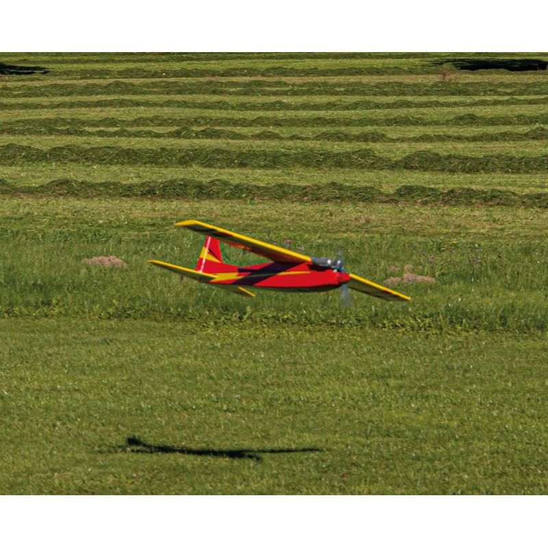 Avion Robbe Modellsport Rasant Speed Edition anniversaire 50 ans Version thermique