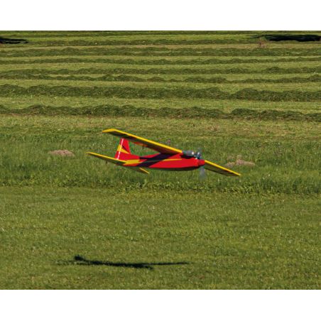 Avion Robbe Modellsport Rasant Speed Edition anniversaire 50 ans Version thermique