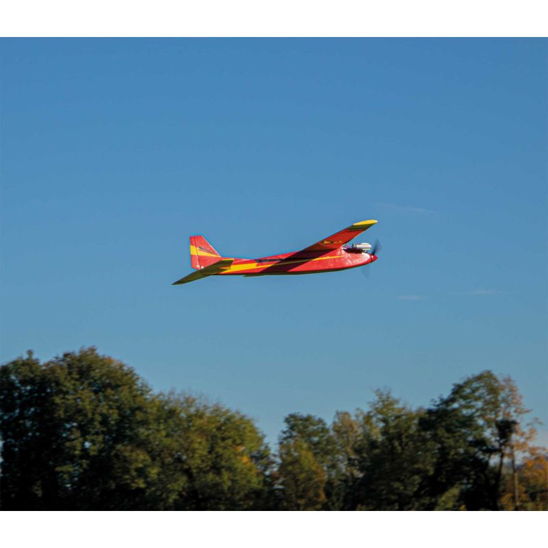 Avion Robbe Modellsport Rasant Speed Edition anniversaire 50 ans Version thermique