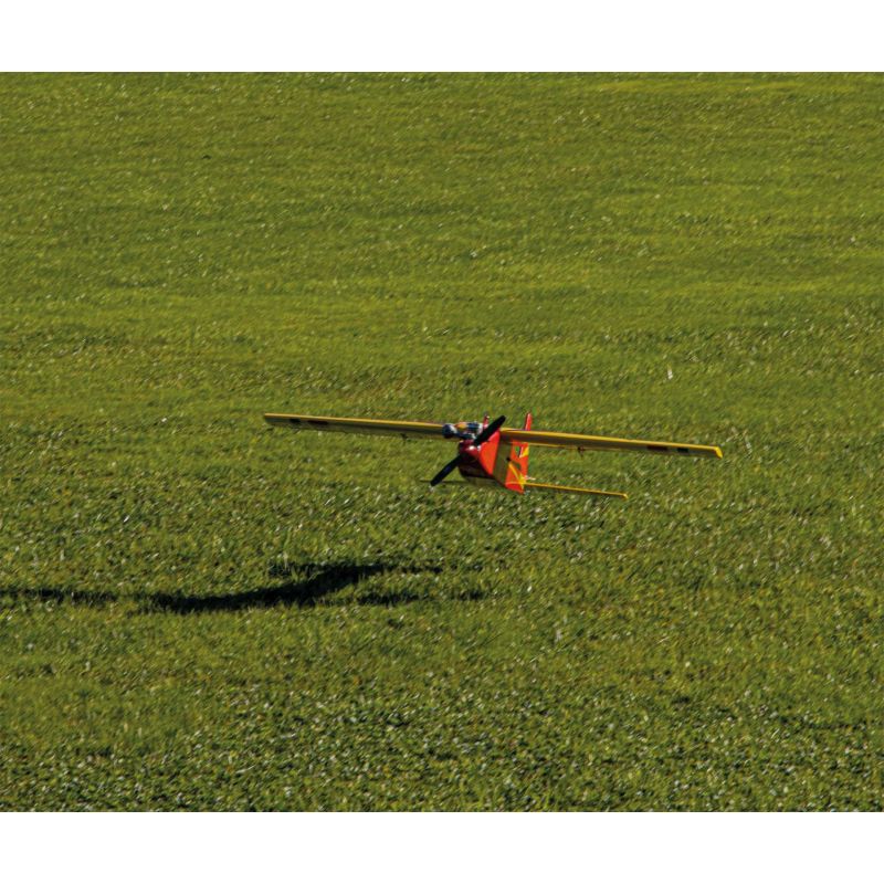 Avion Robbe Modellsport Rasant Speed Edition anniversaire 50 ans Version thermique