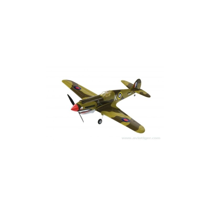 P40 WARHAWK 2.4 RTF M1
