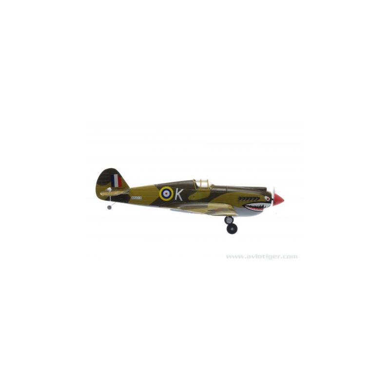 P40 WARHAWK 2.4 RTF M1