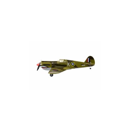 P40 WARHAWK 2.4 LNF