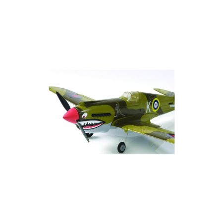 P40 WARHAWK 2.4 LNF