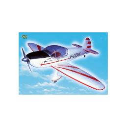 Avion VQ model CAP 10 1.50m