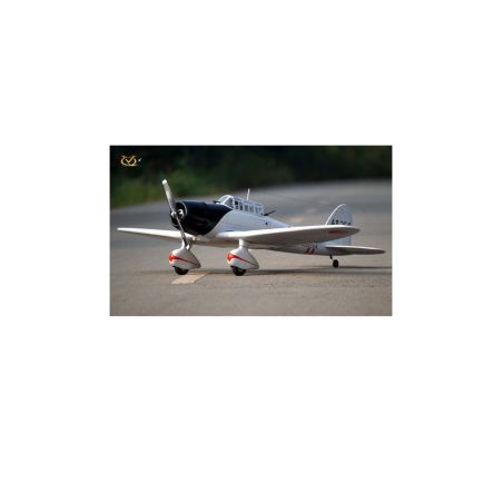 Avion VQ model D3A1 Aich .46 EP/GP 1.54m