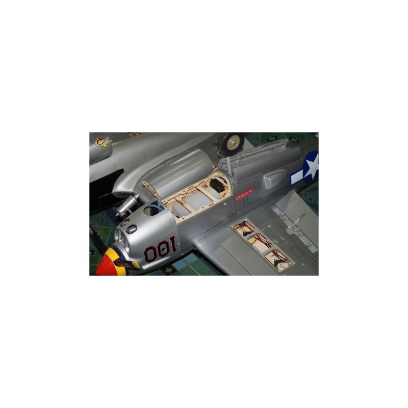 Avion VQ Model P-38 twin 2.1m version verte