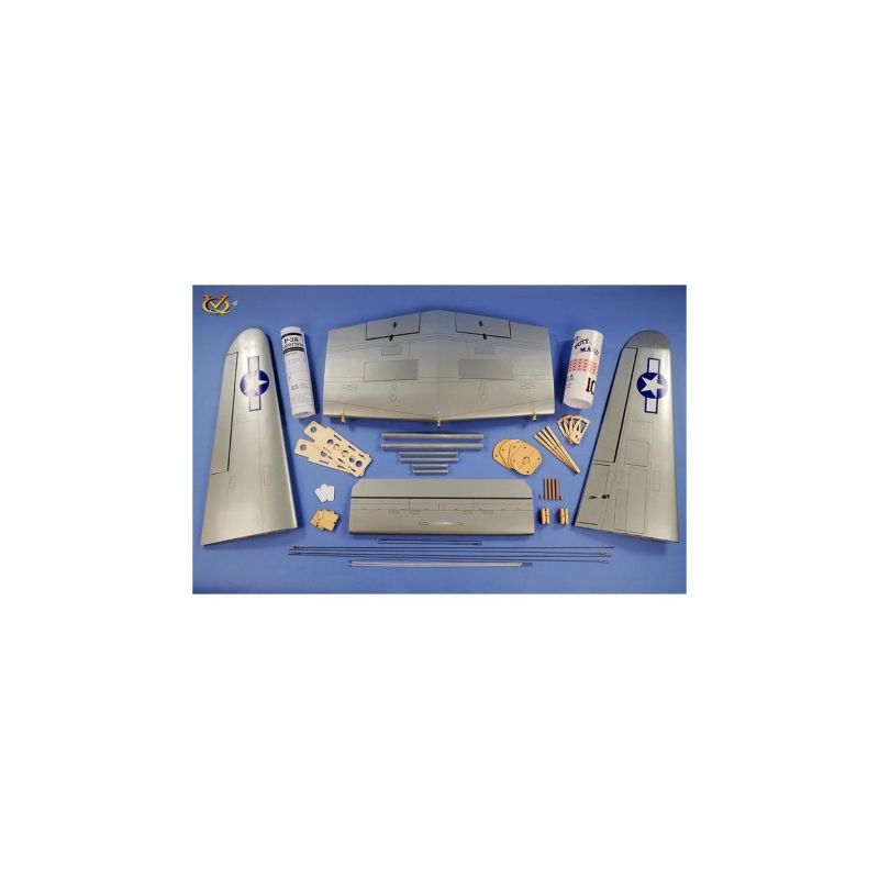 Avion VQ Model P-38 twin 2.1m version verte