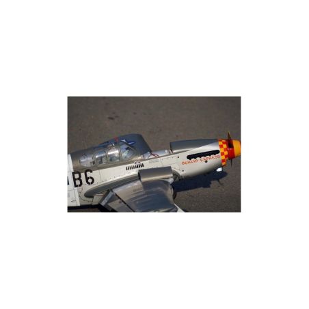 Avion VQ Model P-51B (Berlin Express )