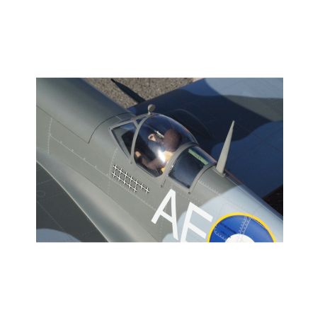 Avion VQ model Spitfire 50. 1.54m