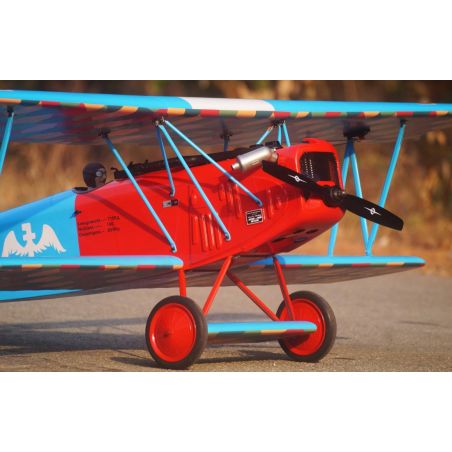 VQ Model Fokker D.VII .120 size EP-GP - Rouge et Bleu