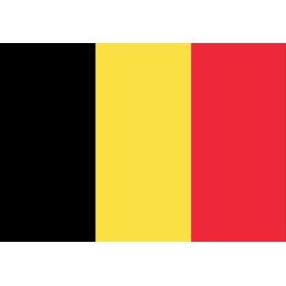 Drapeau de la Belgique Pavillon Soie 85 mm