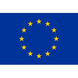 Drapeau de l’Europe Pavillon Soie 85 mm