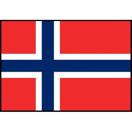Drapeau de la Norvège Pavillon Soie 65 mm