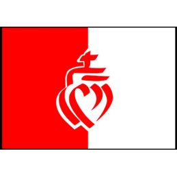 Drapeau de la Vendée Pavillon Soie 55 mm