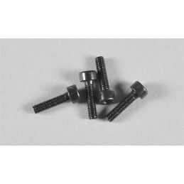 Vis cylindrique M3x14 (4p)