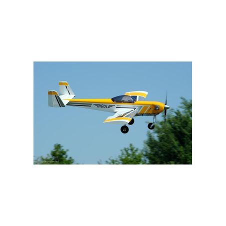 Avion Ecotop Bidule 111 ARF env.3.00m