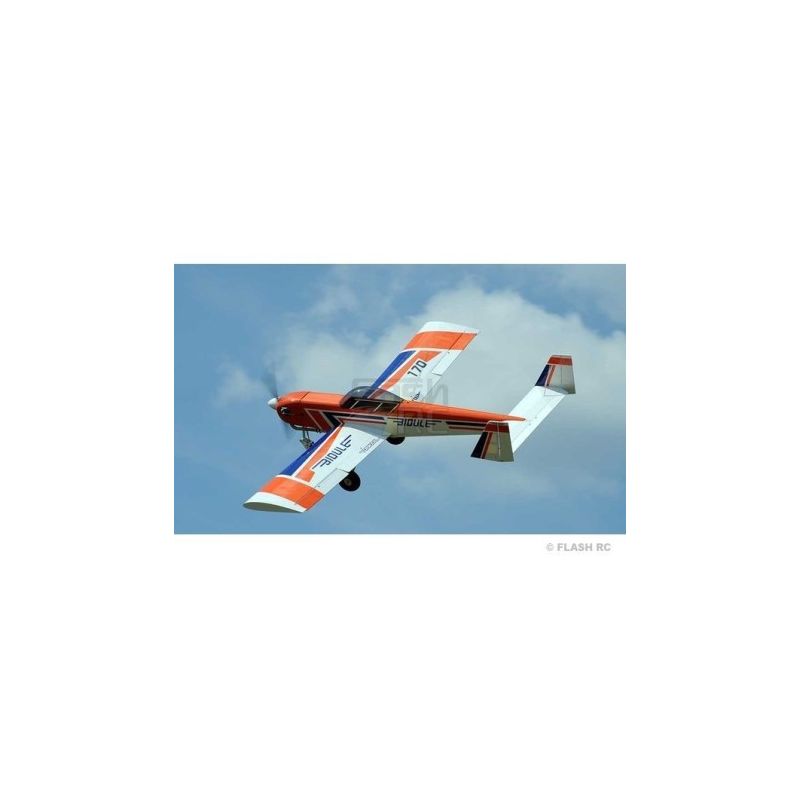 Avion Ecotop Bidule 170 ARF env.3.48m