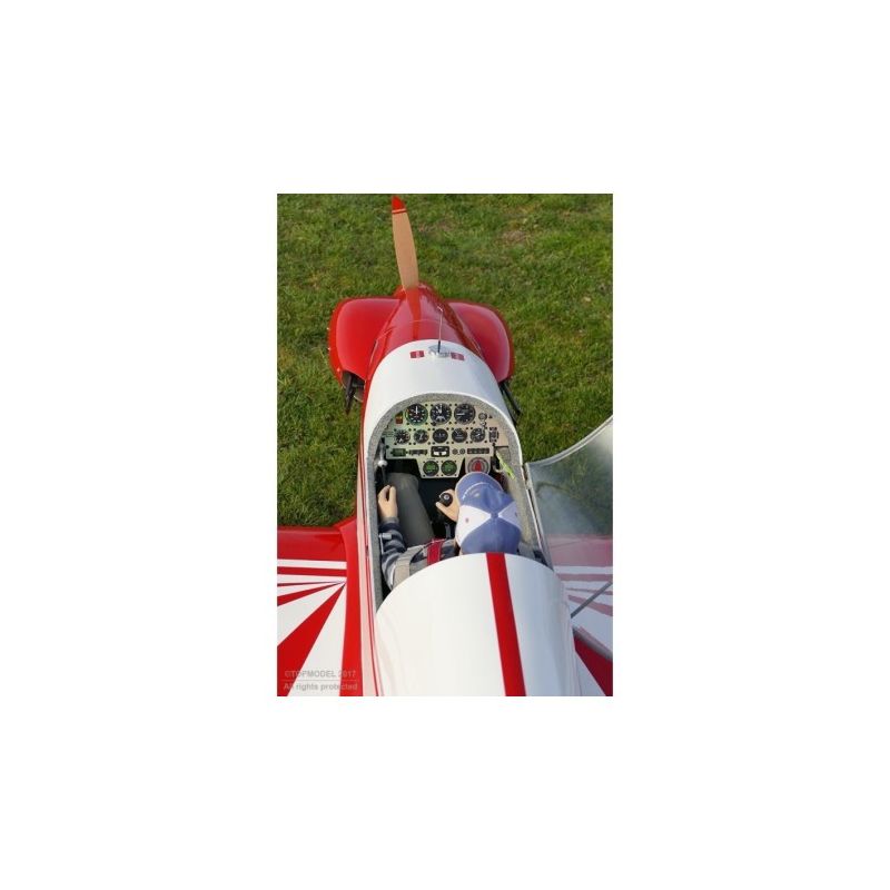 Avion Fournier RF-4 env. 5,63m ARF ECOTOP