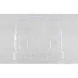 Carro. Av Street Truck