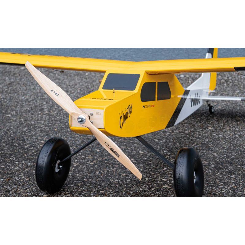 Robbe Modellsport Turbo Charter ARF