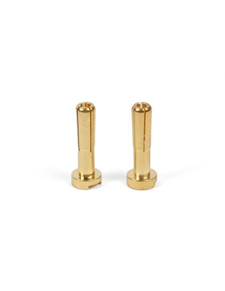 Connecteurs or 4mm (2p)