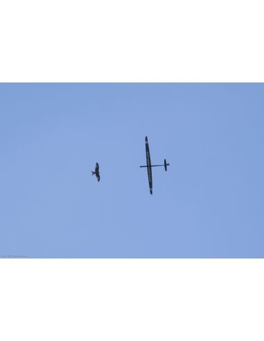 Planeur POINTE de Aeronaute | Ventedemodelisme.fr