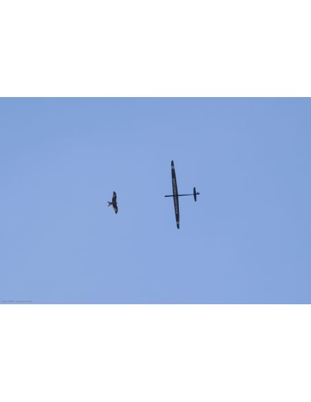Planeur POINTE de Aeronaute | Ventedemodelisme.fr