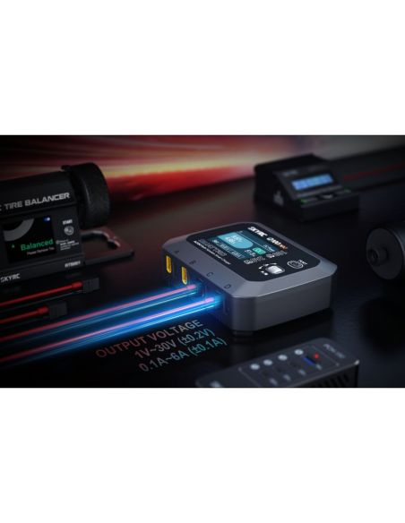 Chargeur Q100neo AC/DC Multi-Function Smart Charger