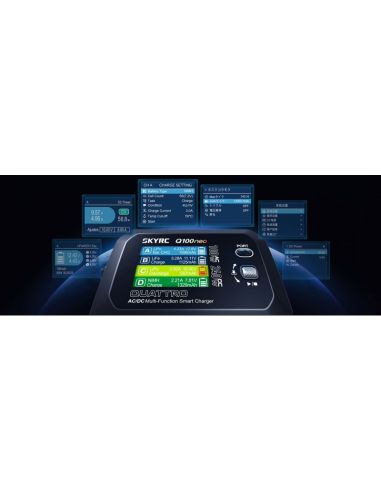 Chargeur Q100neo AC/DC Multi-Function Smart Charger