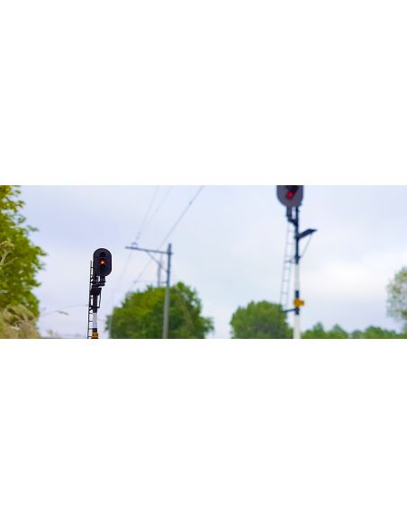 Signalisation principale néerlandaise Digikeijs DR711 H0 (Droite)