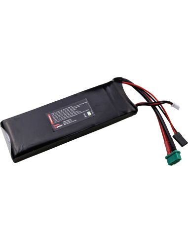 Batterie Robbe Modellsport RO-POWER ULTRA LIFEPO4 3000 mAh 6,6 V 25(30)C 2S, prise MPX/JR/XH