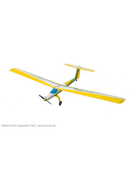 Avion Kit de modèle réduit radiocommandé rétro CAT électrique