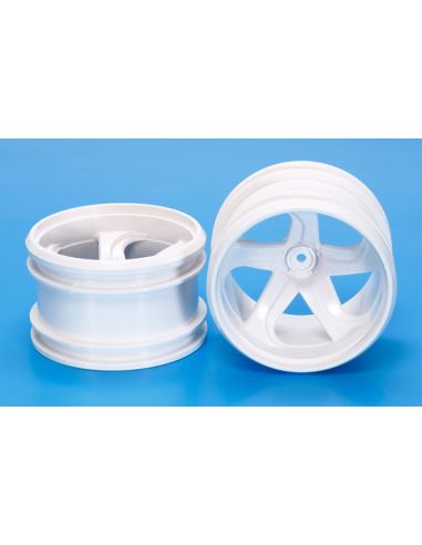 Jantes 5 bâtons GF01/G6-01TR