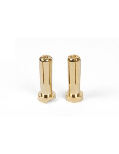 Connecteurs or 5mm (2p)