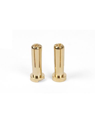 Connecteurs or 5mm (2p)