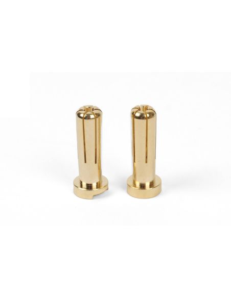 Connecteurs or 5mm (2p)