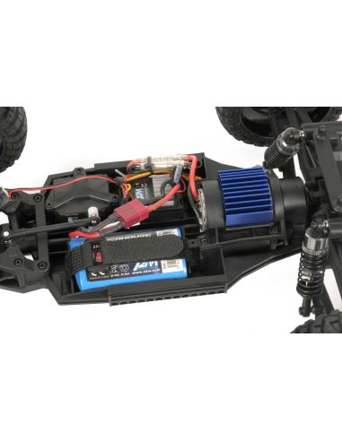 Pirate Buster Green 1/10