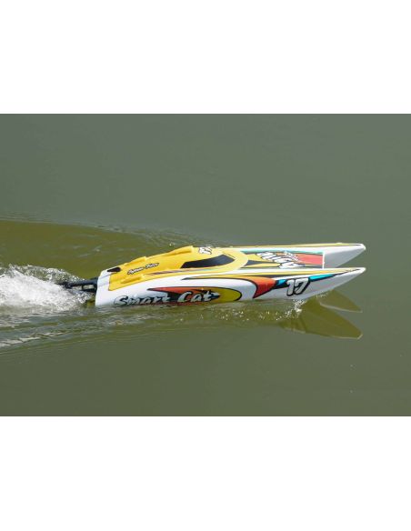 Bateau rc, Bateau Joysway Smart Cat Electric ABS 420mm Brushed 2.4G RTR