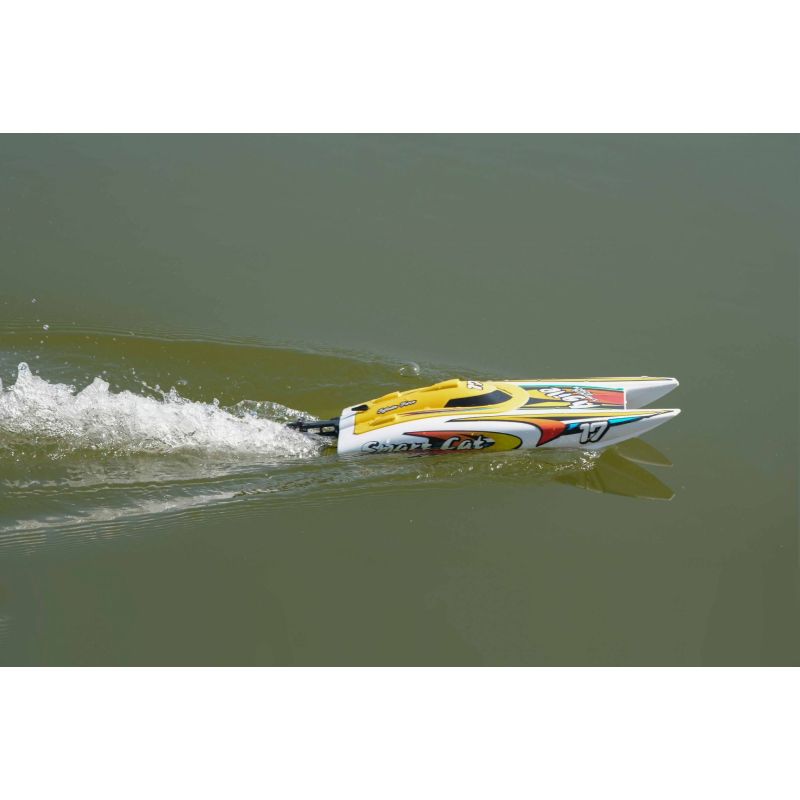 Bateau rc, Bateau Joysway Smart Cat Electric ABS 420mm Brushed 2.4G RTR